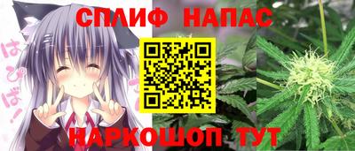 МДПВ Гагарин