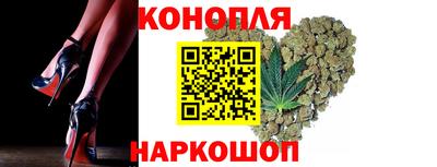 стаф Гатчина