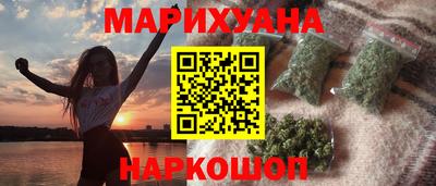 стаф Гатчина
