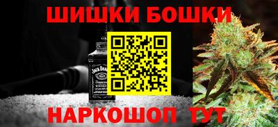 стаф Гатчина