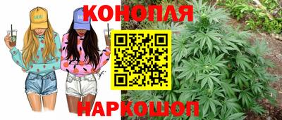 стаф Гатчина