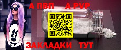 ECSTASY Гай