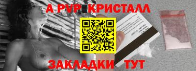 стаф Гатчина