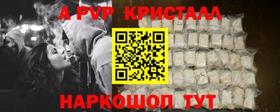 ECSTASY Гай