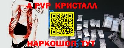 ECSTASY Гай