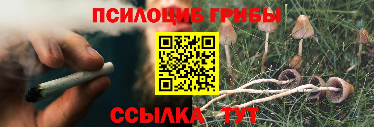 Галлюциногенные грибы мухоморы  закладка  Ржев  Вход с VPN 