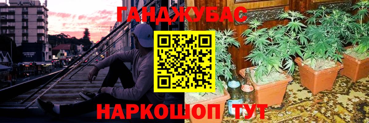 Бошки Шишки MAZAR Ржев